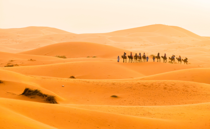 4 days desert tour from Marrakech to Fes