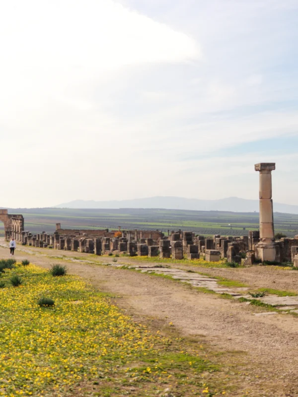 8 days deset tour from Tangier to Marrakech