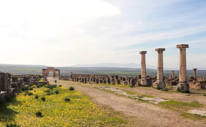 8 days deset tour from Tangier to Marrakech