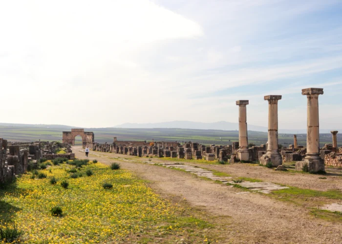 8 days deset tour from Tangier to Marrakech